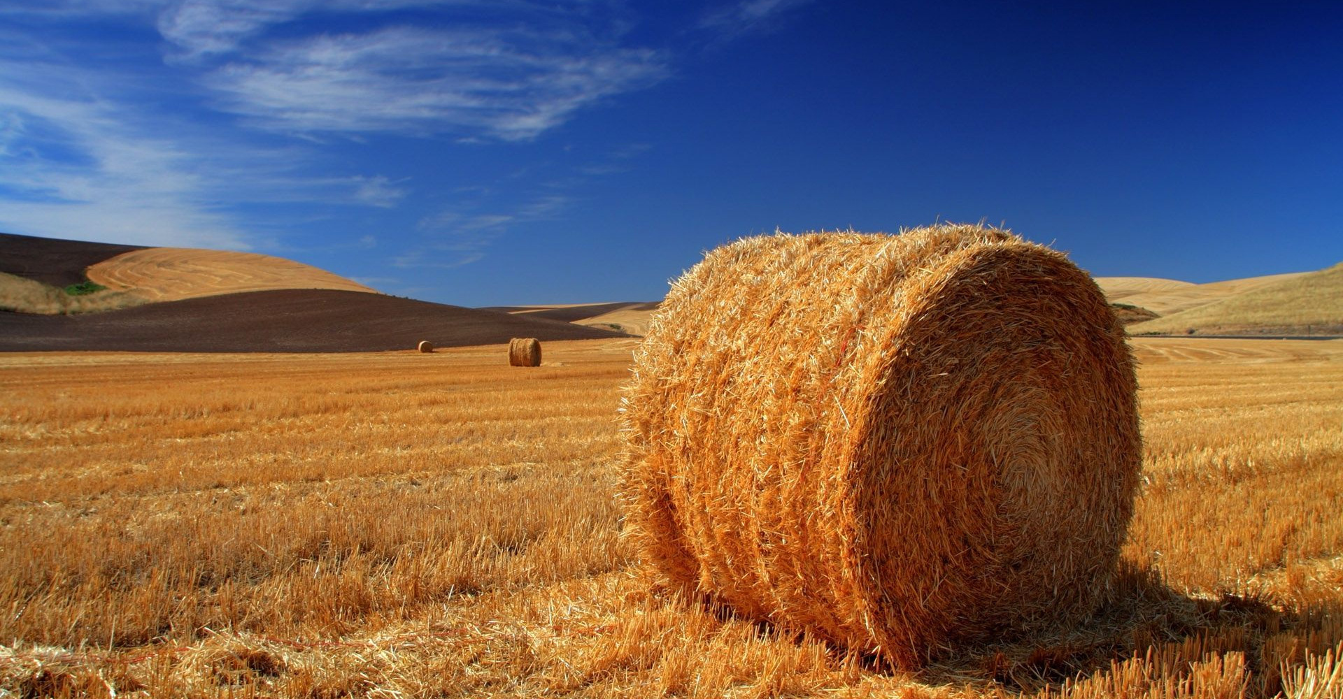 Politica Agricola Comune